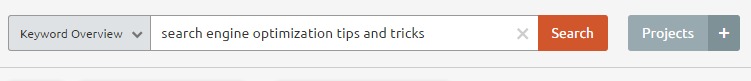 search engine optimization tips and tricks by organic SEMrush overview for keyword