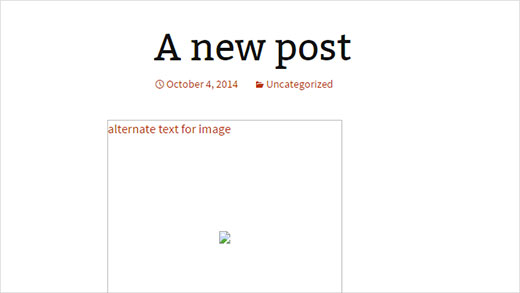 image alt text example